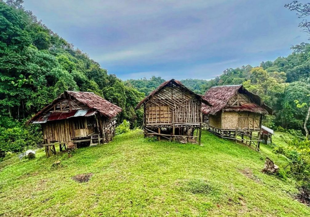 مغامرة استكشاف غابات سومطرة ، اندونيسيا Forest trekking at Bukit lawang, Sumatra , Indonesia #غا (2)